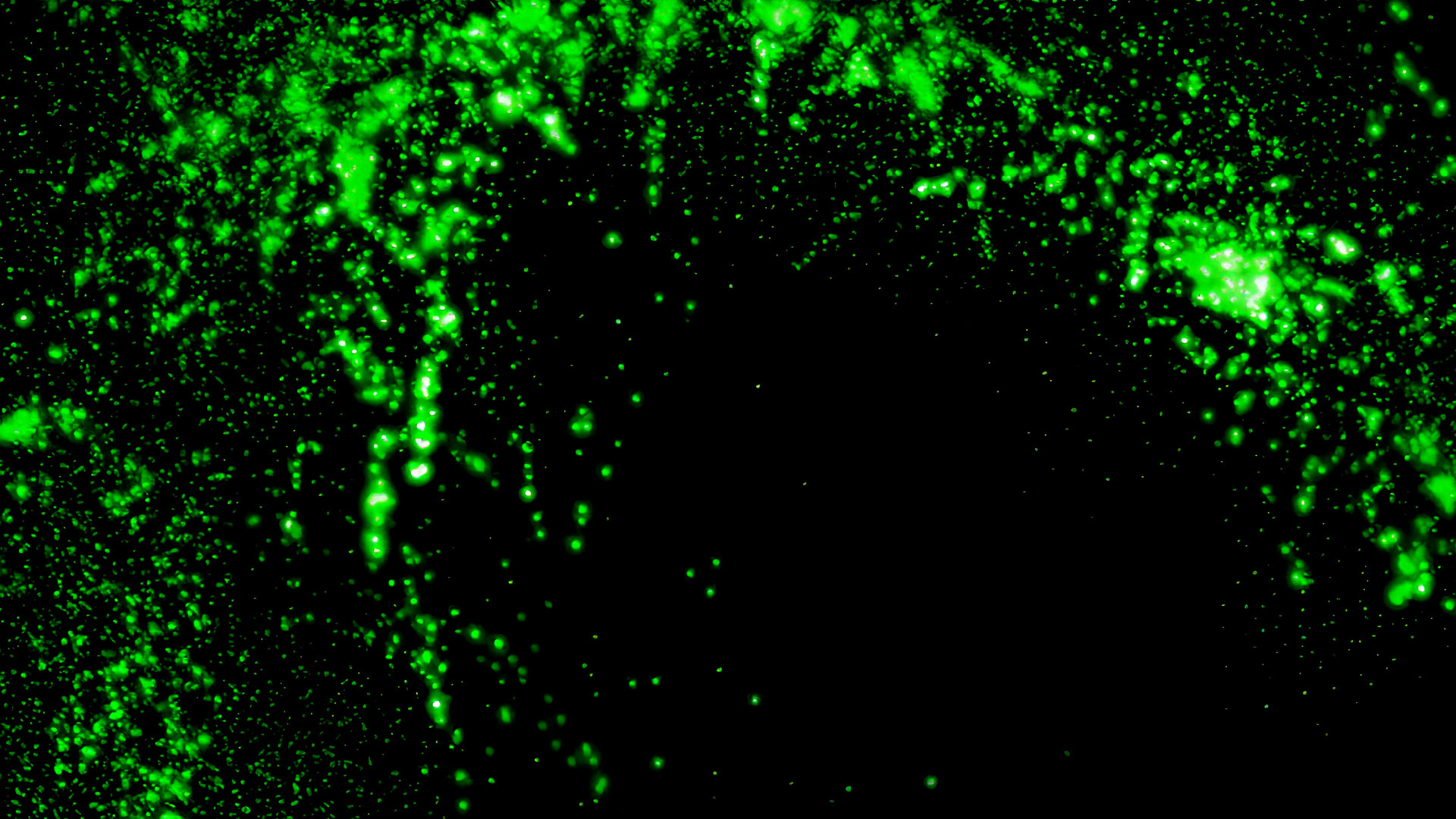 tele5_salestrailer_comedy4_1920x1080_web_001